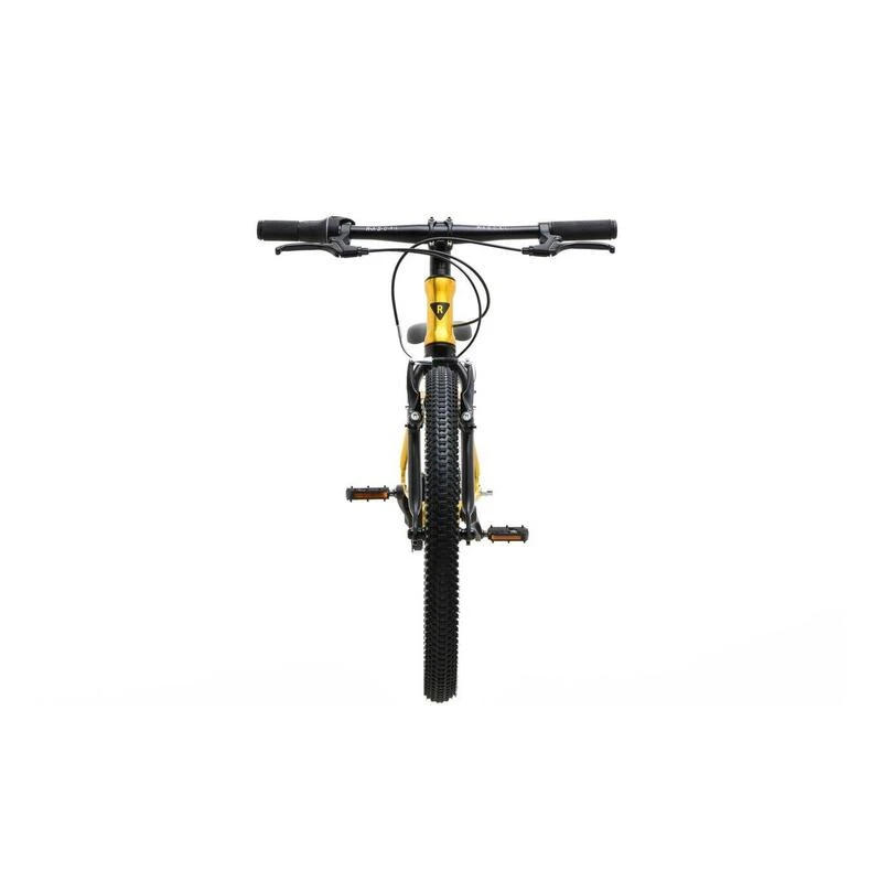 RASCAL 20 3speed Titan 4 RASCAL 20 3speed Titan – Image 2