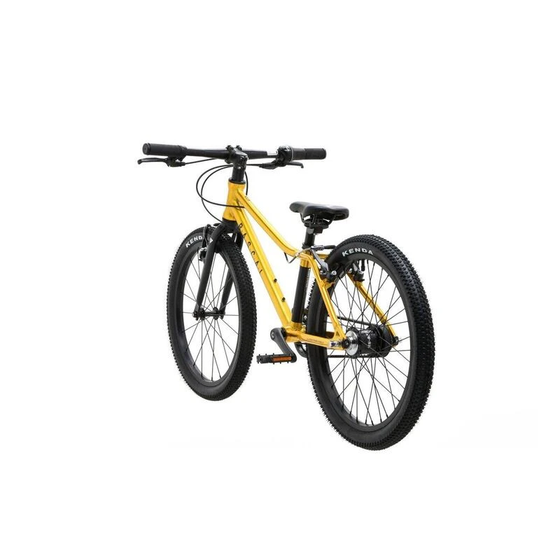 RASCAL 20 3speed Titan 5 RASCAL 20 3speed Titan – Image 3