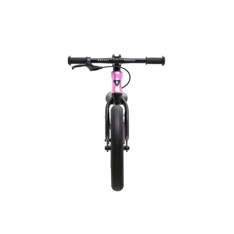 RASCAL PUNK! Raspberry 4 RASCAL PUNK! Raspberry – Image 2